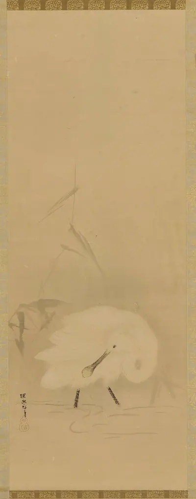 A spoonbill and water-grass