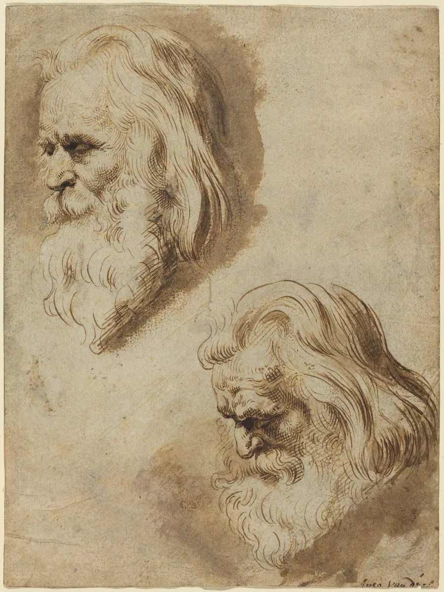 Two Studies of an Elderly Man's Head by Paulus Pontius