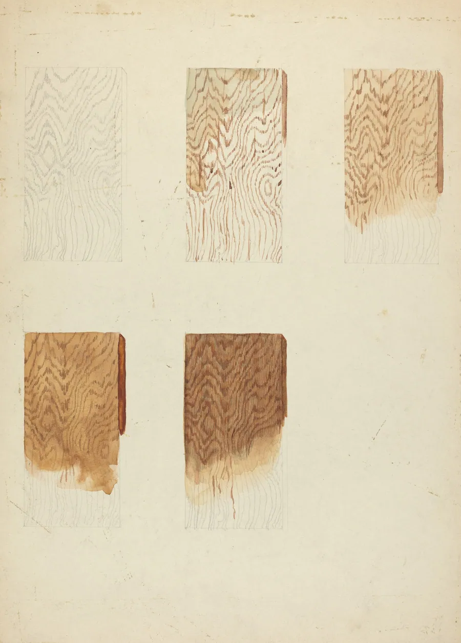 Technique Demo (Wood Grain) by American 20th Century