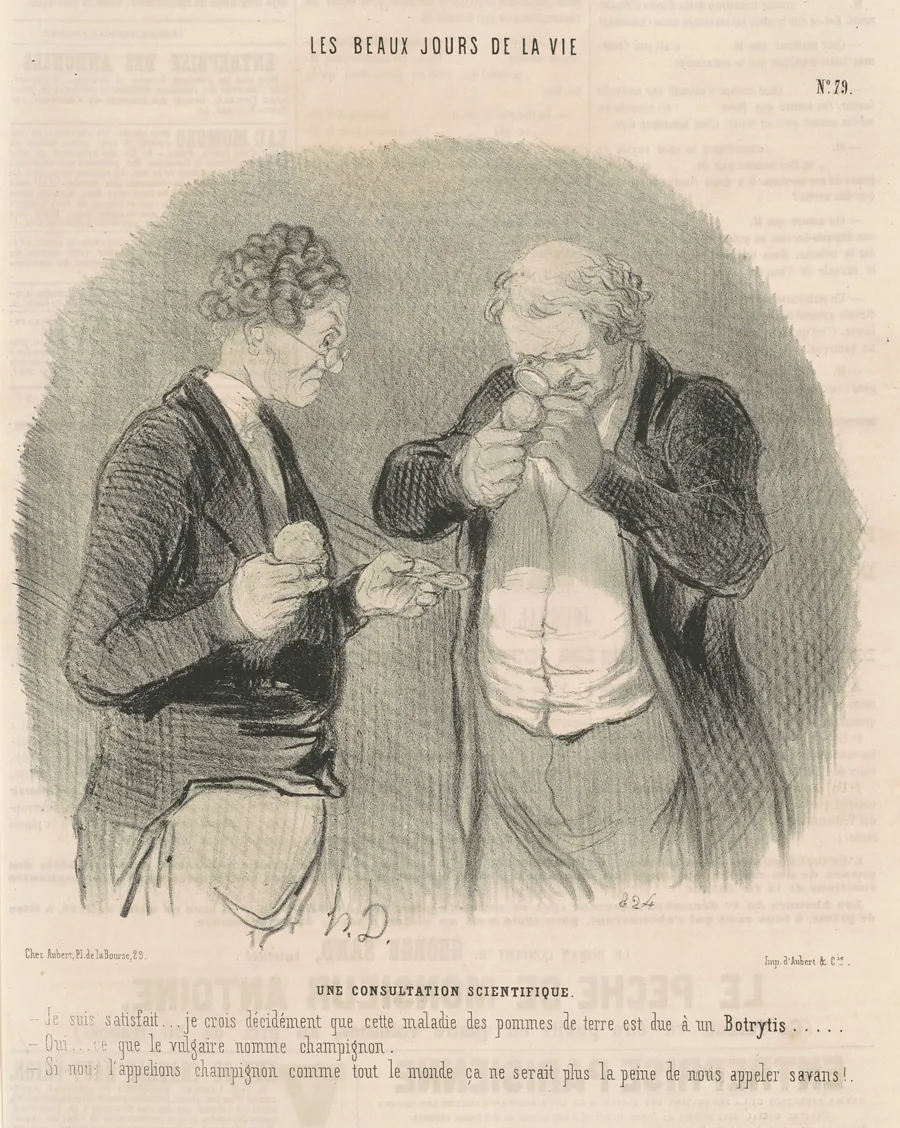 Une consultation scientifique by Honoré Daumier