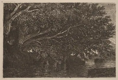 Trees Overhanging a Pond