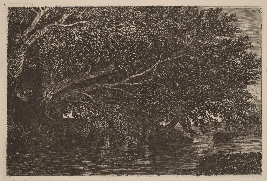 Trees Overhanging a Pond by Alexandre Calame
