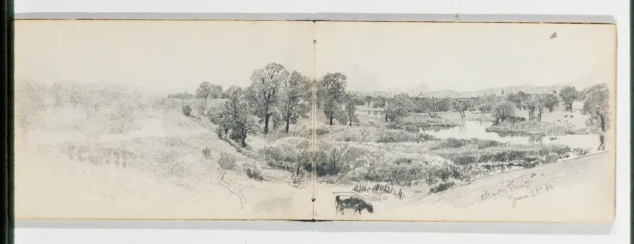 Trees on the Bank of the Charles River June 22 '86 (from Sketchbook VII) by William Trost Richards