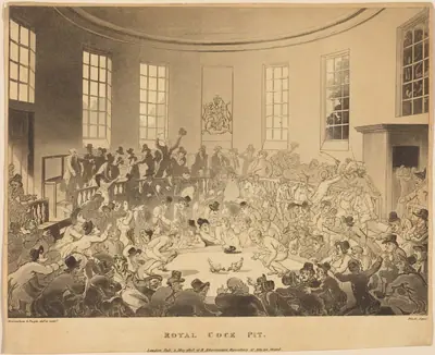 Royal Cock Pit