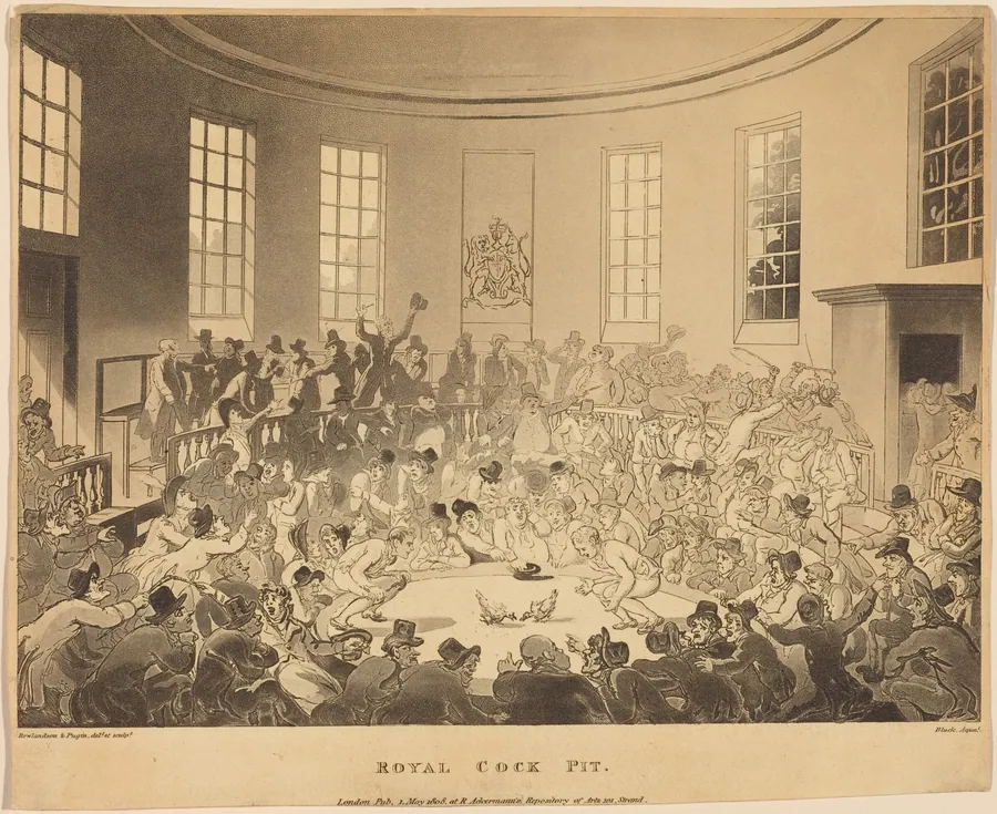 Royal Cock Pit by Thomas Rowlandson