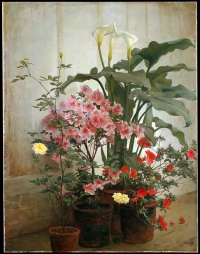 Side of a Greenhouse