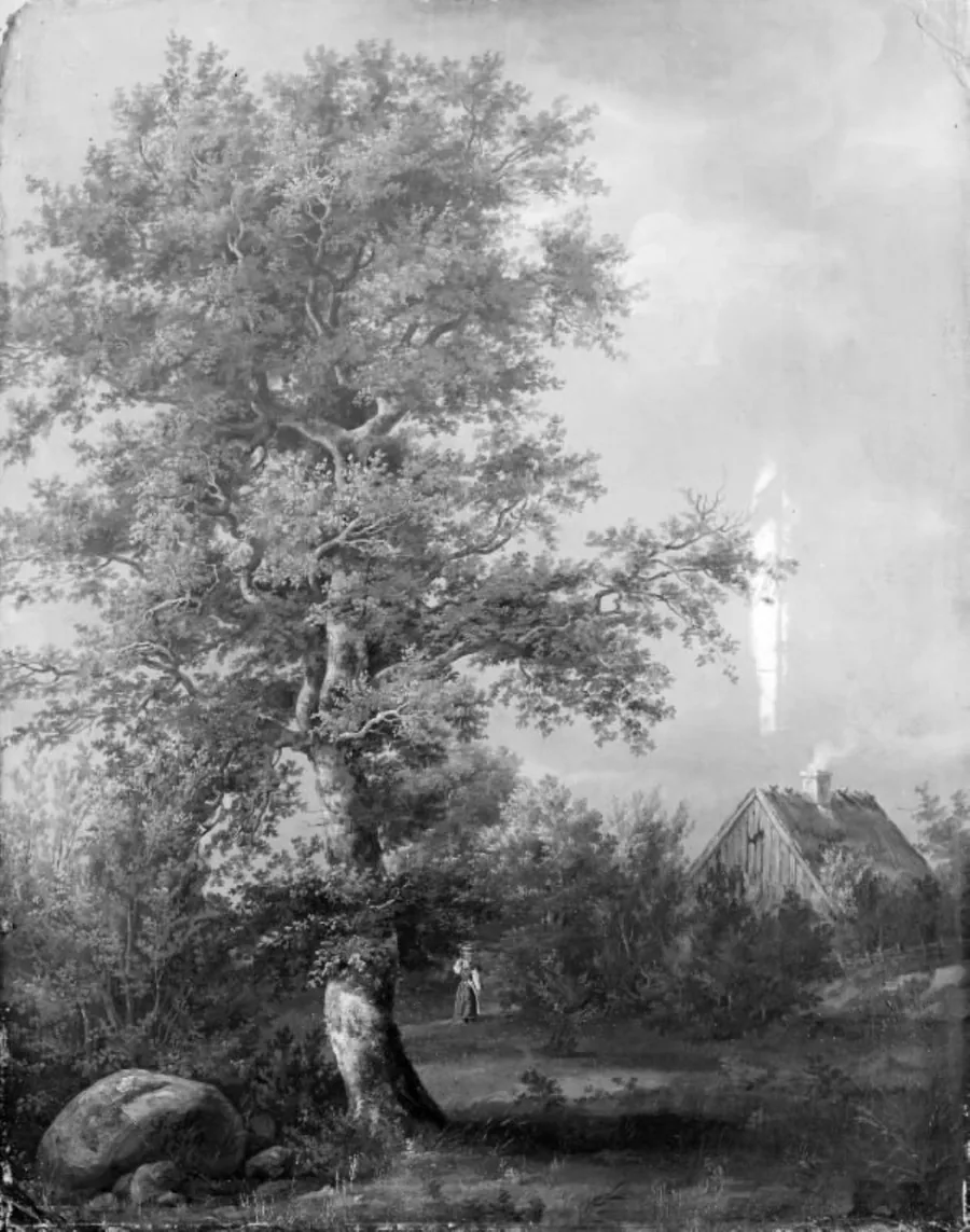 Studie af et bøgetræ ved Engelholm på Sjælland by J.C. Dahl