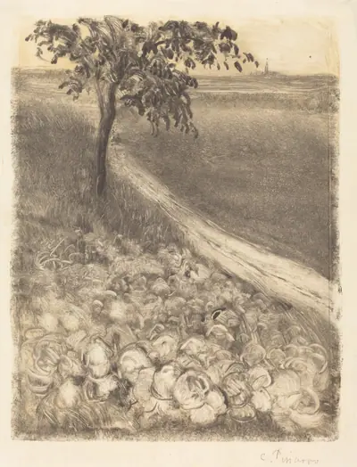 Road by a Field of Cabbages