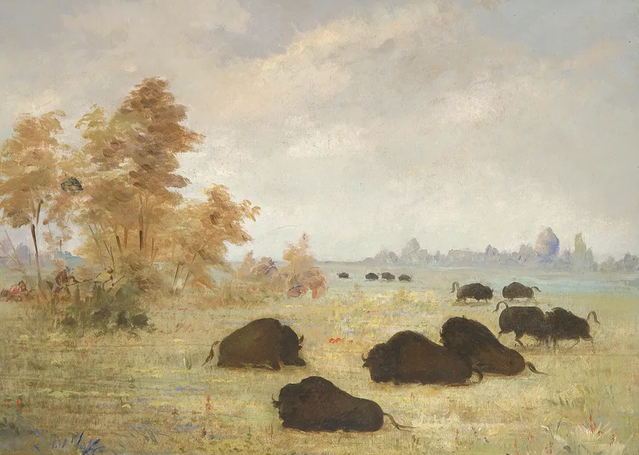 Stalking Buffalo, Arkansas by George Catlin, born Wilkes-Barre, PA 1796-died Jersey City, NJ 1872