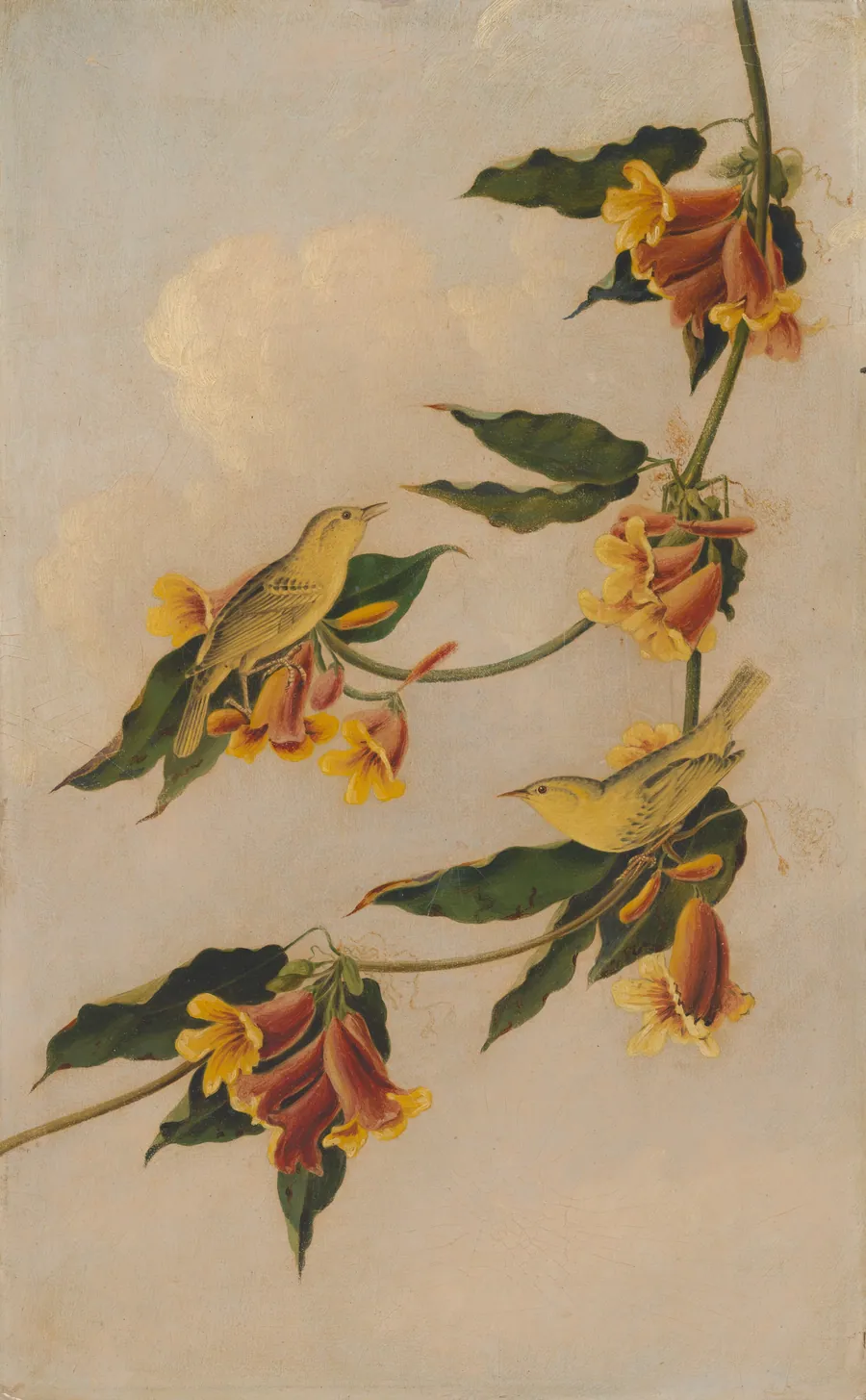 Yellow Warbler by Joseph Bartholomew Kidd