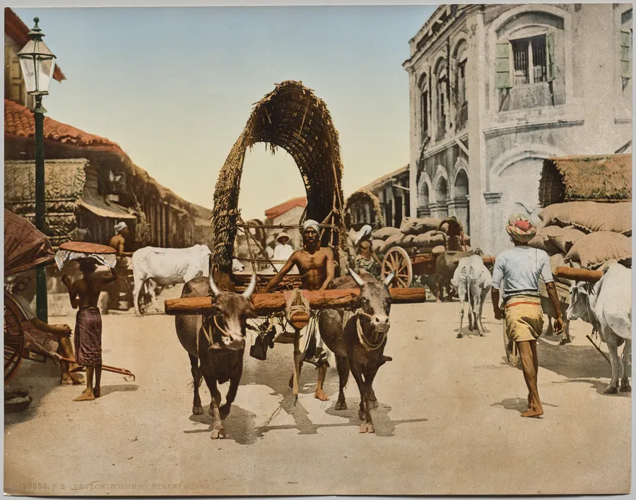 India. Ceylon. Colombo. Street Scene, after photo by Dr. Kurt Boeck by Photoglob Co.