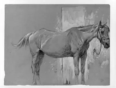 Horse, Fort Stanton, New Mexico