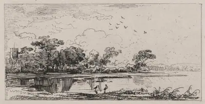 Lowland Marsh with Water Birds