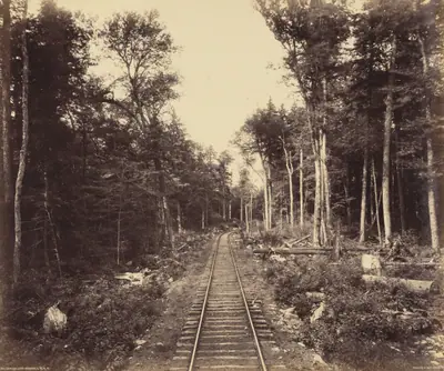 Ganoga Lake Branch