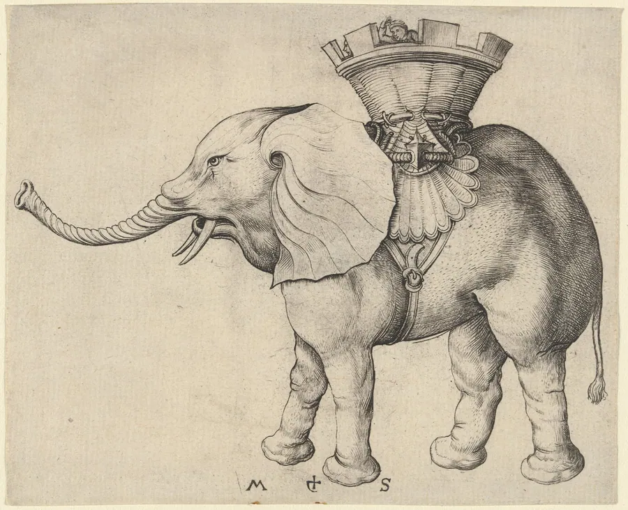 Elephant by Martin Schongauer
