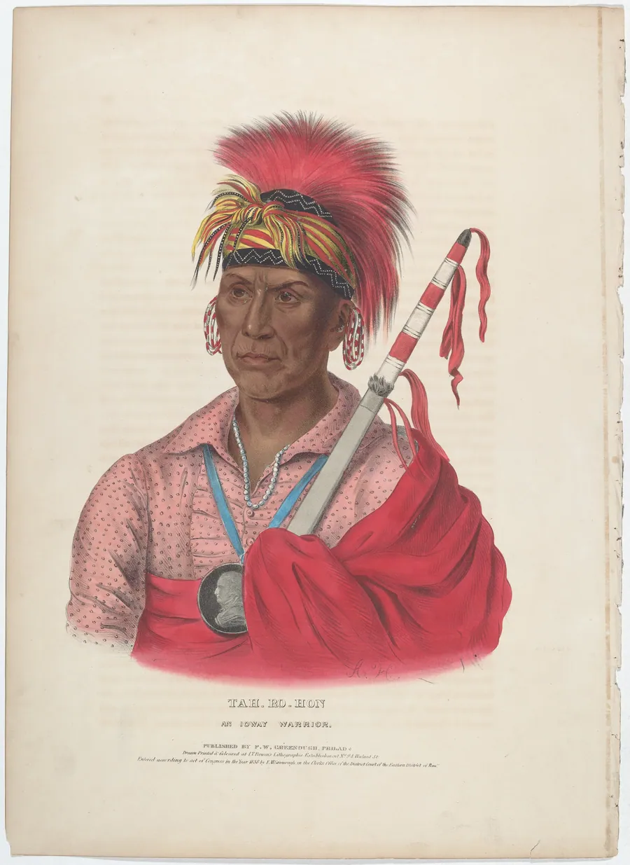 Tah-Ro-Hon, An Ioway Warrior by Alfred Hoffy