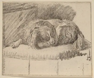 Lying Dog