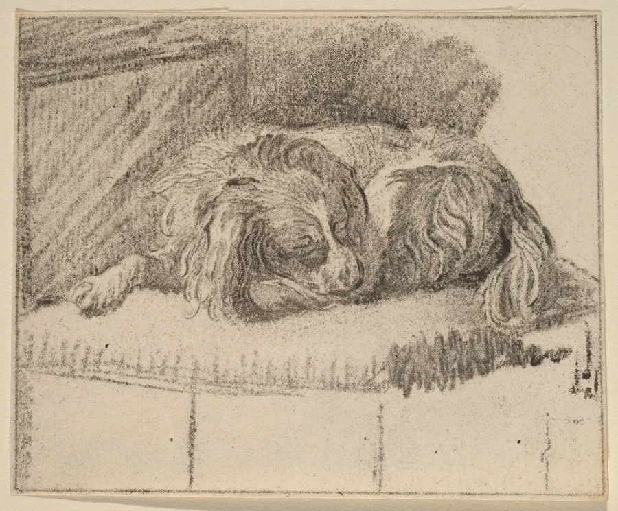 Lying Dog by Cornelis Ploos van Amstel