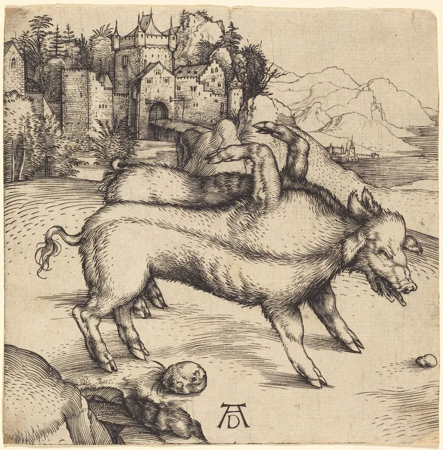 The Monstrous Pig of Landser by Albrecht Dürer