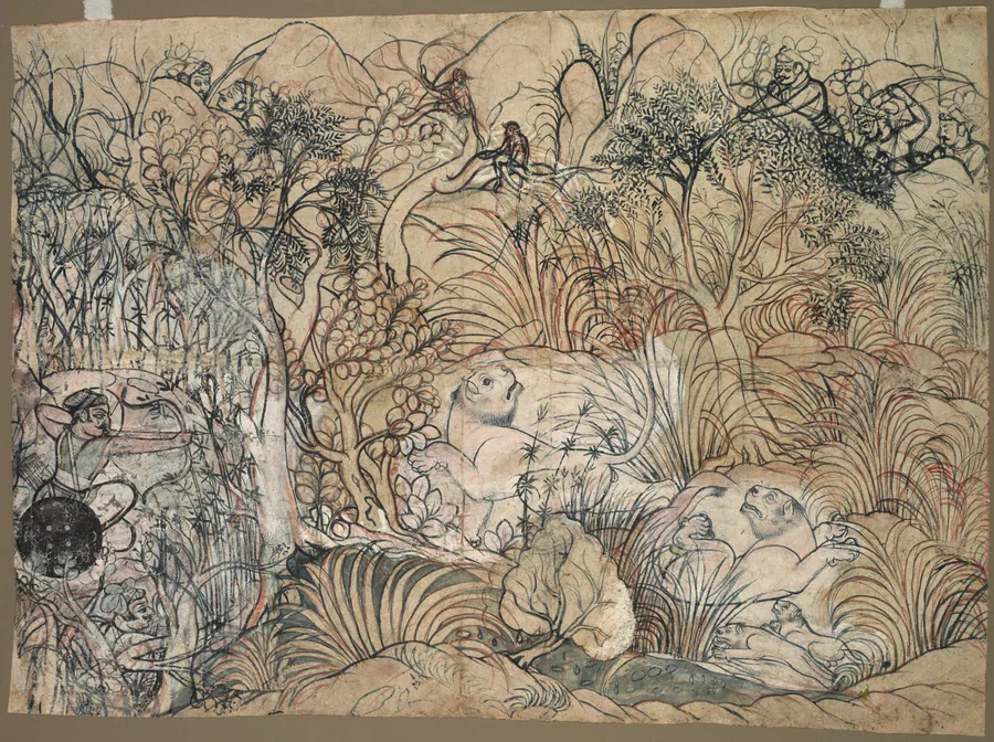 Umed Singh of Kota Hunting Lions