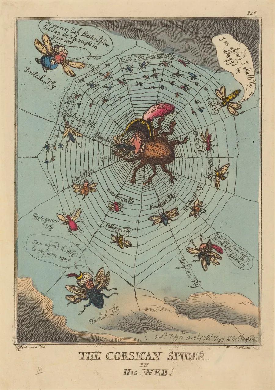 The Corsican Spider in his Web by Thomas Rowlandson