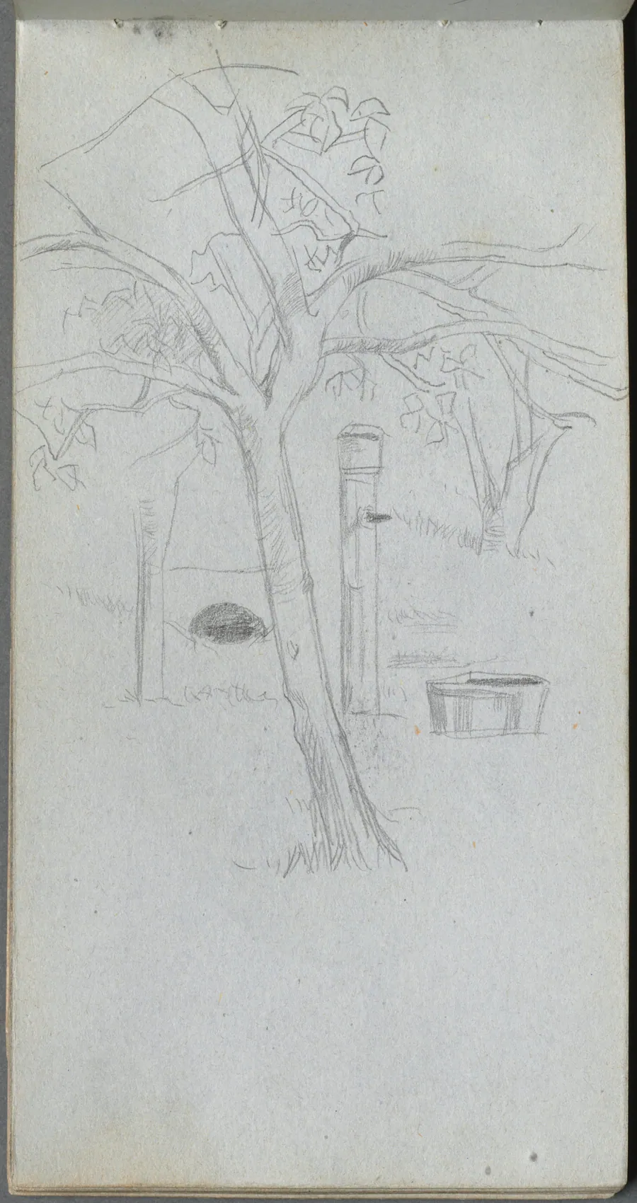 Sketchbook, page 36: Tree Study by Ernest Meissonier