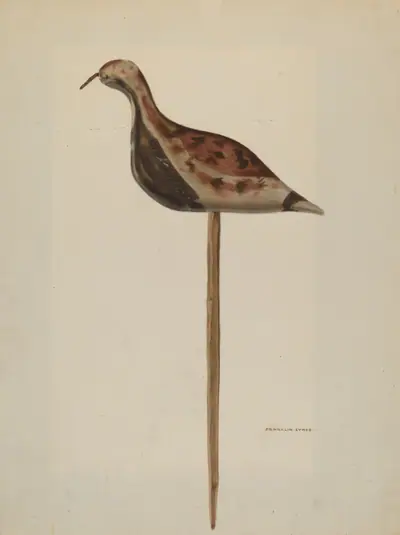 Decoy