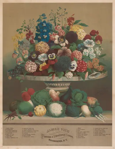 Flowers and Vegetables