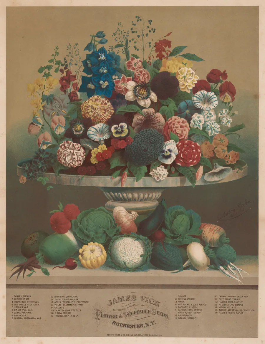 Flowers and Vegetables by Anton Carl Rahn