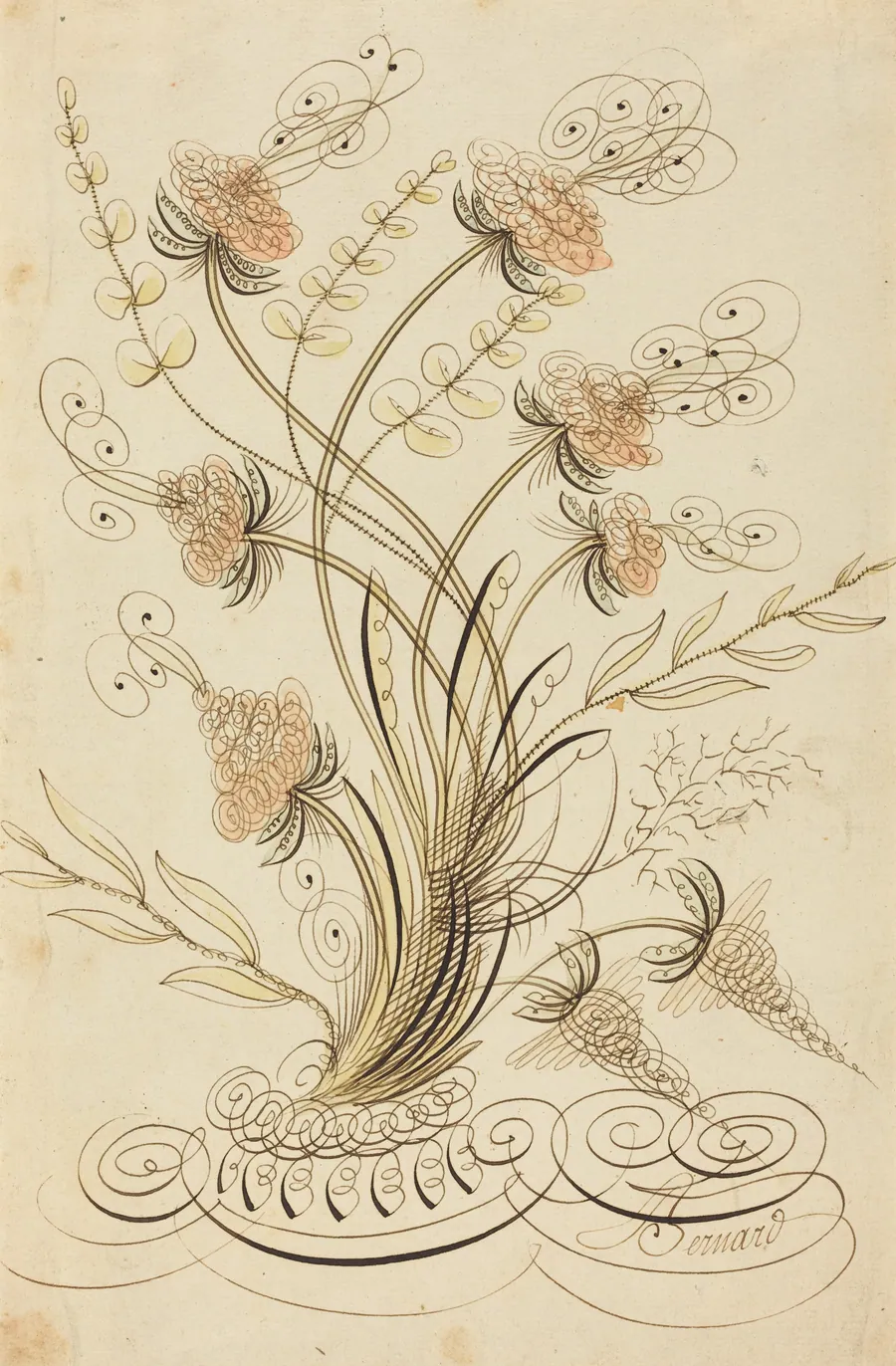 Calligraphic Flowers by Jean-Joseph Bernard