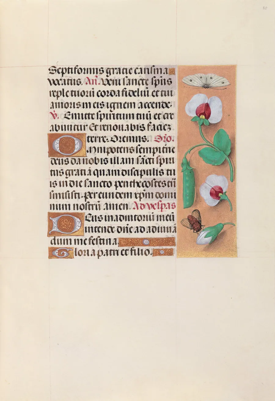 Hours of Queen Isabella the Catholic, Queen of Spain:  Fol. 35r by Master of the First Prayerbook of Maximillian