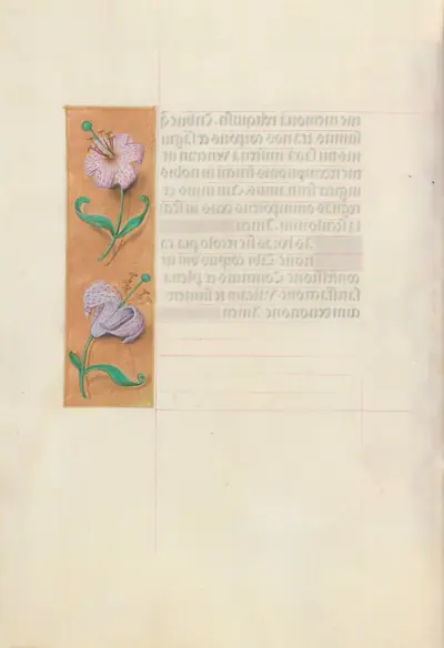 Hours of Queen Isabella the Catholic, Queen of Spain: Fol. 49v