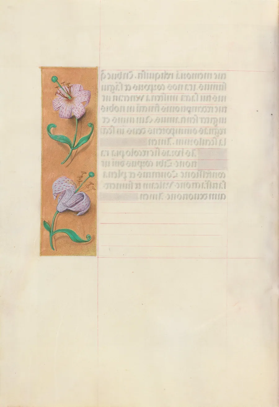 Hours of Queen Isabella the Catholic, Queen of Spain:  Fol. 49v by Master of the First Prayerbook of Maximillian