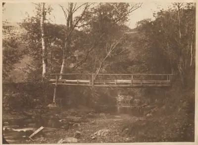 Landscape with Trees and Bridge
