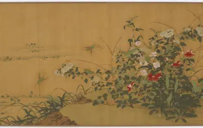 Flowers, plants, and insects