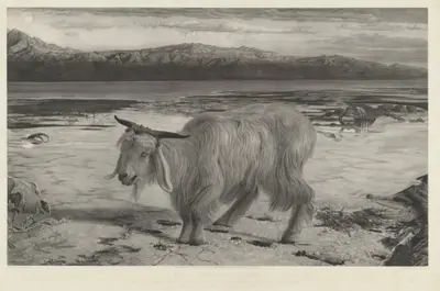 The Scapegoat