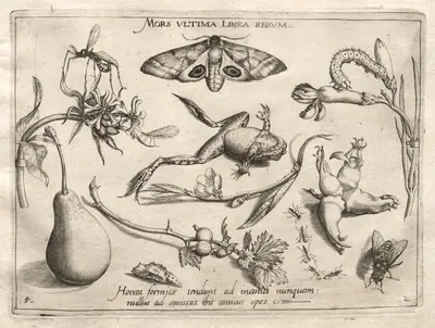 Archetypes and Studies: Death is the line that marks the end of all (Part II, plate 5)