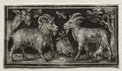 Goats and Hare