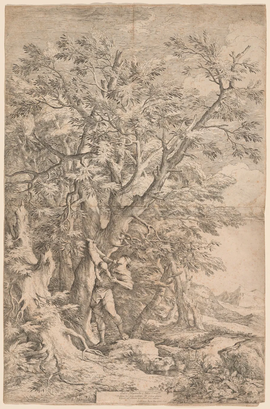 The Rescue of the Infant Oedipus by Salvator Rosa