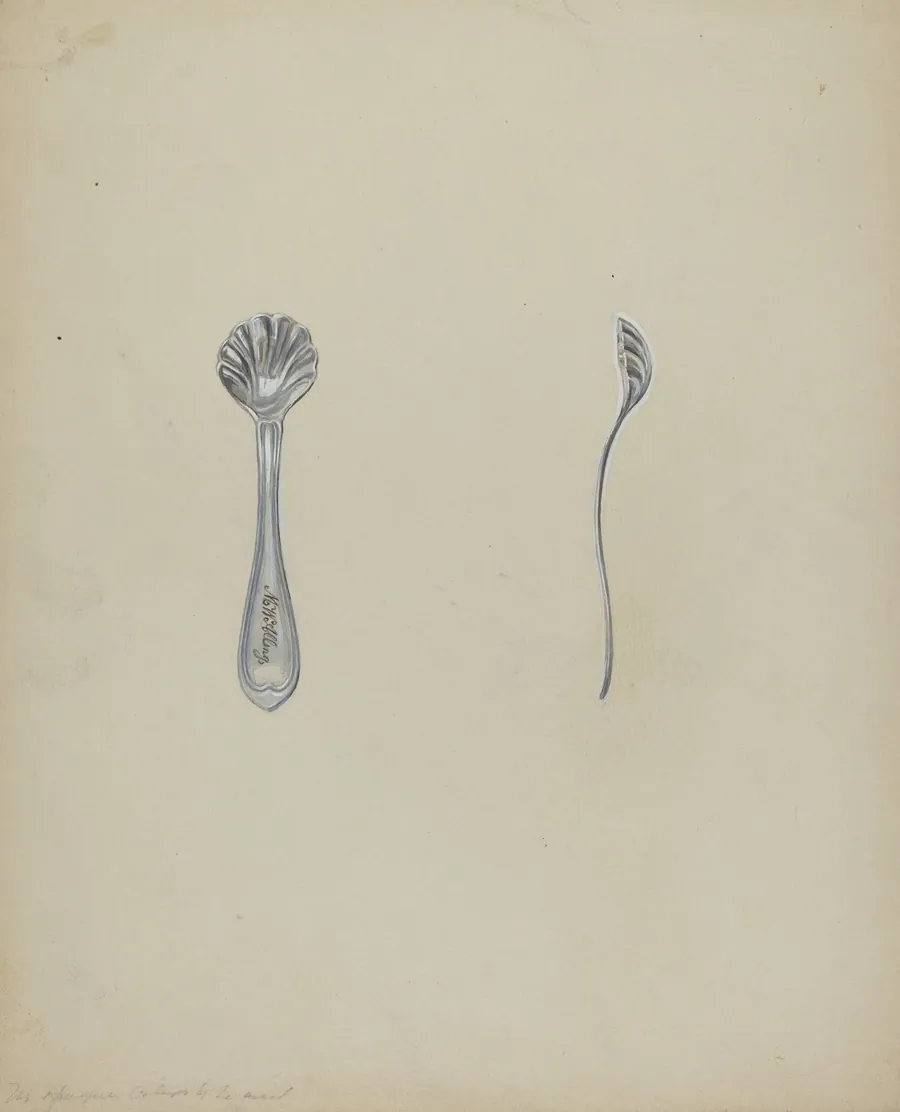 Silver Salt Spoon by Anthony Zuccarello