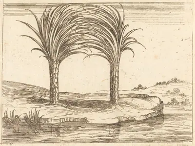 Two Palm Trees
