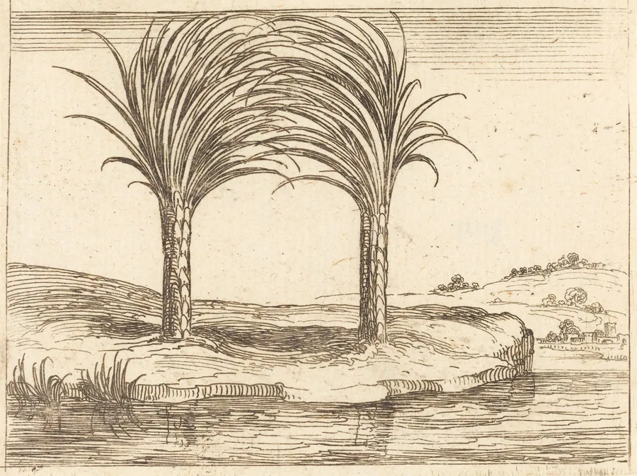 Two Palm Trees by Jacques Callot