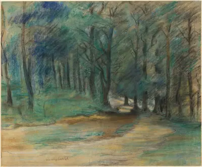 Woodland Path