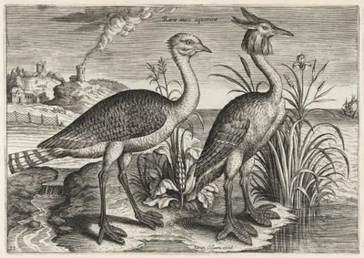 Bustard and Great Crested Grebe