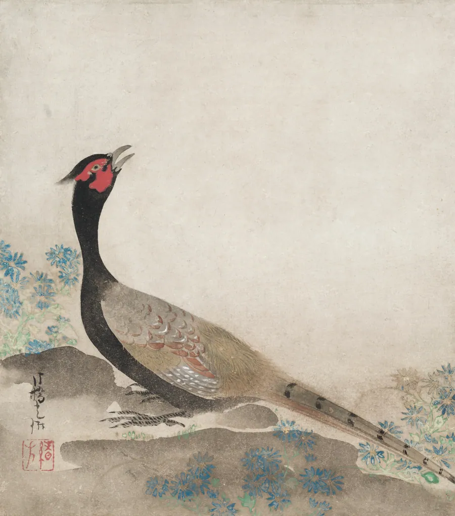 Pheasant by Ogata Kōrin