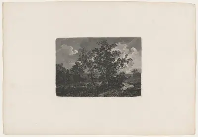 Nocturnal Landscape