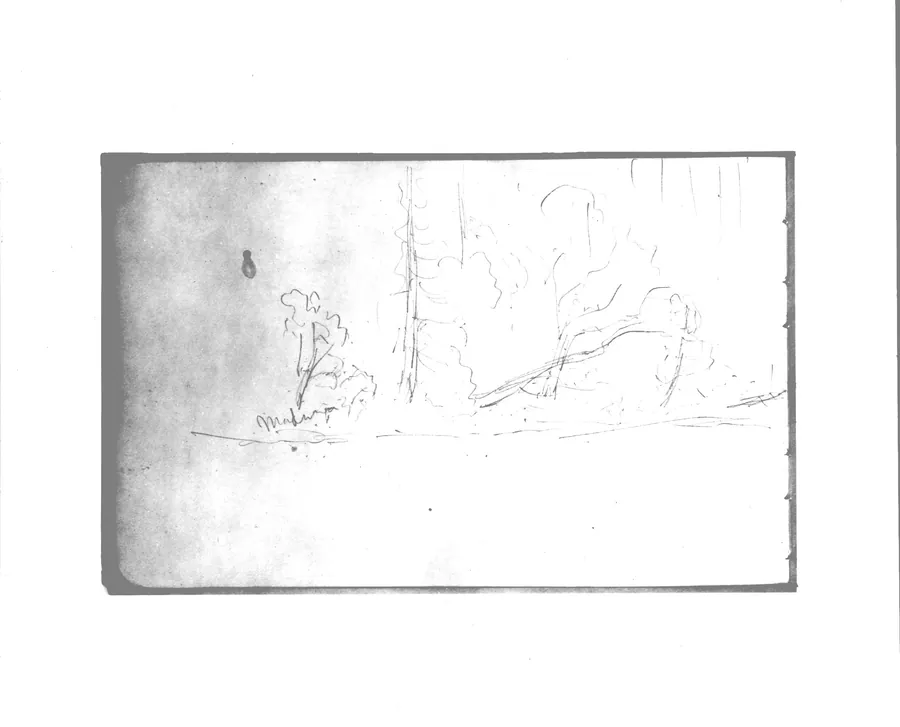 Trees (from Sketchbook) by Albert Bierstadt