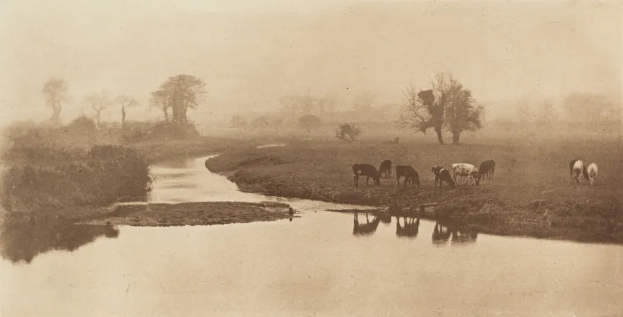 Sheep on the Marshes [Landscape with Cattle] by Peter Henry Emerson
