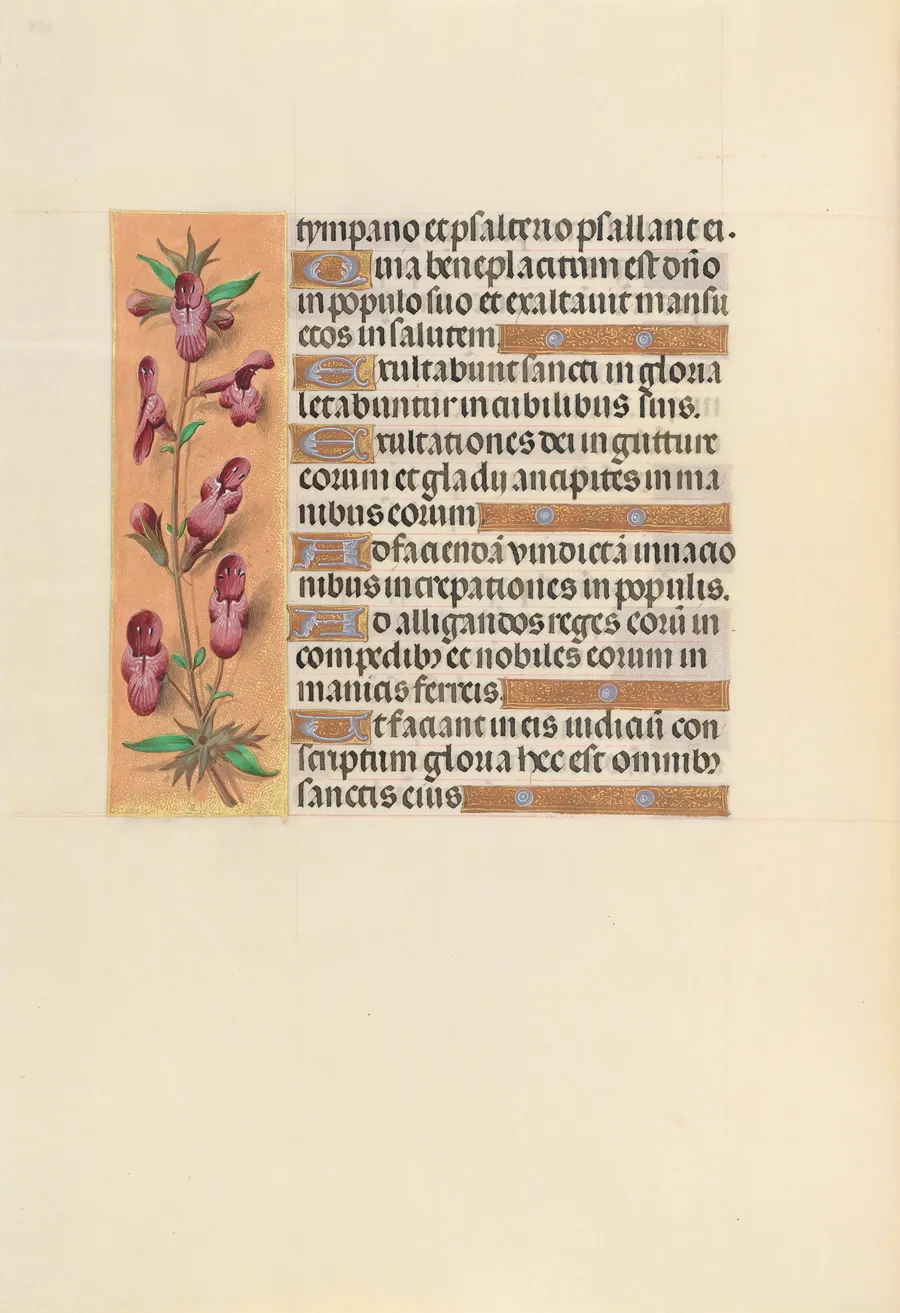Hours of Queen Isabella the Catholic, Queen of Spain:  Fol. 253v by Master of the First Prayerbook of Maximillian