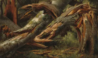 Fallen Tree